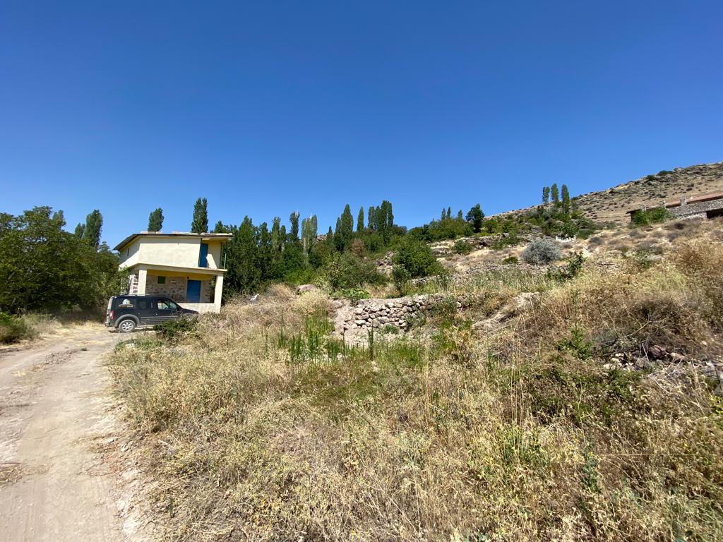 KAYSERİ DEVELİ GÜNEYAŞAĞI MAHALLESİ ÇOBANBAĞI MEVKİİNDE SATILIK BAĞ